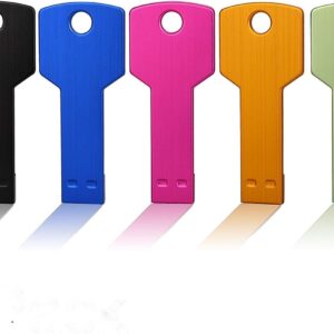 JUANWE 5 Pack 4GB USB Flash Drive USB 2.0 Metal Thumb Drive with Key Shape Design Jump Drive Waterproof Memory Stick Portable USB Drive-Black/Blue/Pink/Gold/Green